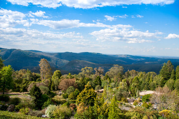 Fototapeta na wymiar Beautiful Blue Mountains landscape. View from the Mount Tomah Botanical Garden