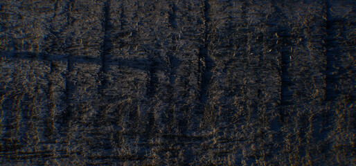 Rotten wood texture