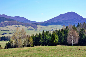 View of Mountain Lackowa (997 msl) in Low Beskids. (Beskid Niski), Poland in springtime. - obrazy, fototapety, plakaty