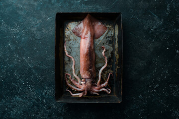 Fresh squid in a box with ice on a dark stone background. On a dark background.