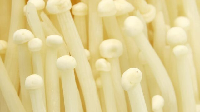 Organic enoki mushroom closeup food shot closeup rotating  isolated on white background 4K camera