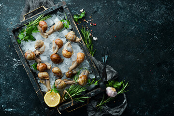 Edible Snails on Ice with Parsley and Lemon. Traditional French cuisine. Top view.