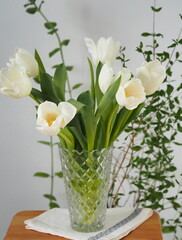 Fototapeta na wymiar Glass vase with a bouquet of delicate white tulips with a yellow center on a gray background. Congratulatory background with place for text.