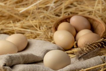 Fresh chicken eggs on the farm. Organic wholesome food concept close-up. Copy space.