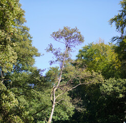 Schönes Mecklenburg-Vorpommern: Rund um Warin/Labenz