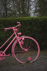 Fototapeta premium Pink bicycle in the park