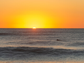 Fototapeta na wymiar Silhouette of Surfer Swimming to the Sunrise. Narrabeen, Sydney, Australia.