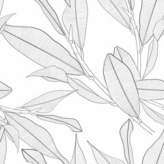 Seamless pattern background with Magnolia branch and leaf drawing illustration. Black white line illustration.