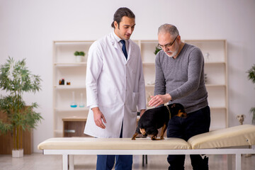 Young male doctor vet examining dog in the clinic