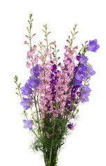 Obraz premium bouquet of meadow flowers isolated