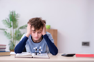 Schoolboy looking at molecular model at home
