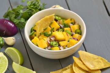 Homemade Mango Salsa with Ingredients and Corn Chips, copy space