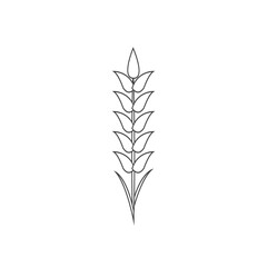 Minimalistic wheat line icon. Simple barley, weat, rice outline logo vector illustration. Linear Wheat isolated on white background. Farm and Bakery symbol