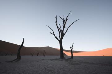 The desert landscape of Namibia, the natural landscape of Africa, located in Sossusvlei, Namibia.