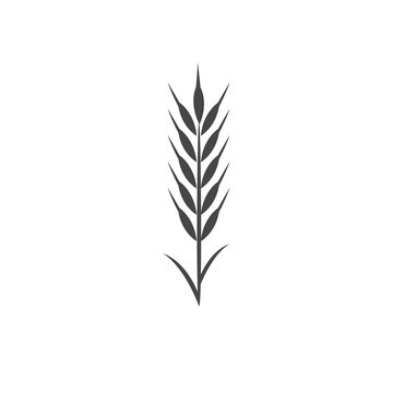 Minimalistic wheat icon. Simple barley, weat, rice logo vector illustration. Wheat vector isolated on white background. Farm and Bakery Symbol