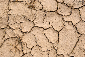 Dry and cracked ground. Texture with natural patterns.