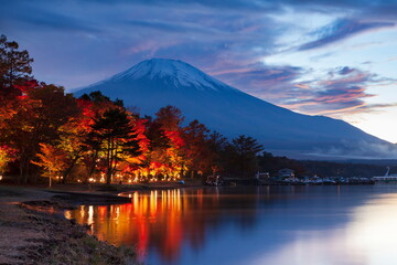 富士山とライトアップされた紅葉　山梨県南都留郡山中湖にて