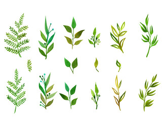 set of watercolor branches on a white background