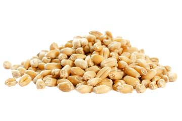 Pile Wheat isolated on white, top view. Heap of Wheat isolated on white background. Wheat isolated on white background, top view. Grains of Wheat on a white background. Wheat seeds triticum durum.