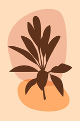 Plant boho pattern background. Boho minimalist abstract plant illustration for design nursery wall decor, t shirt print, shop flyer, contemporary poster etc.