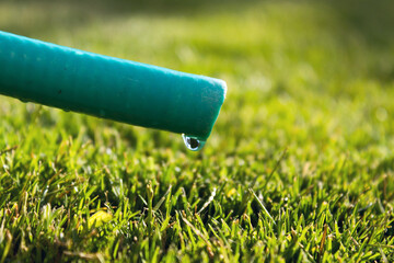 Close up of a drop of water resisting falling from the tip of a hose to green grass under sun.