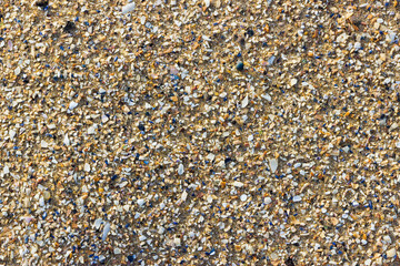 Detail of sand and shell fragments on a beach