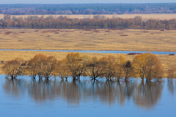 Landscape with flooded banks of the Oka river in Russia and with flooded trees on a sunny clear day, in golden-blue tones.