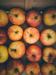 Des pommes fraîches. Des pommes dans une cagette. Des pommes rangées.