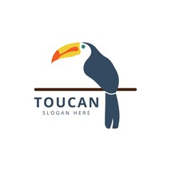 Toucan bird mascot logo design. animal head icon vector logo