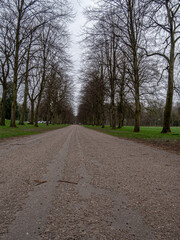View of gravel path along the trees and greenery in the park.