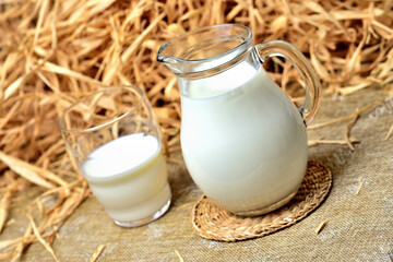 Healthy fresh cow milk in a transparent glass and a glass jug. Dry straw and hay as decoration in the background