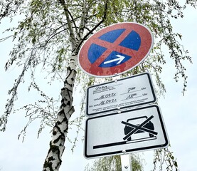 Parkverbot wegen Umzug mit einem Baum im Hintergrund 