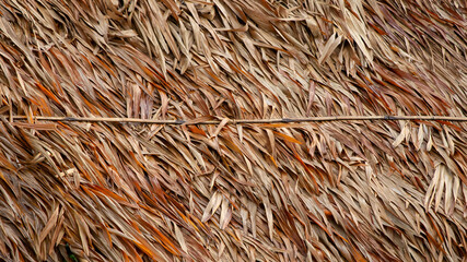  Close-up Texture part of the roof with palm leaves