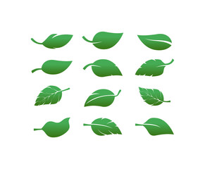 Set of green leaf icons. Green color. Leaves green color icon logo. Leaves on white background. Ecology. Vector illustration.