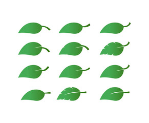 Set of green leaf icons. Green color. Leaves green color icon logo. Leaves on white background. Ecology. Vector illustration.