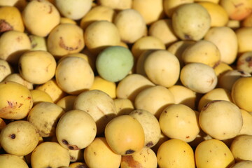 South African marula tree fruits