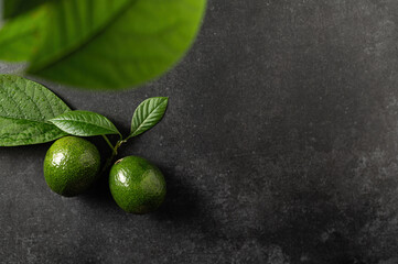 two ripe avocados with leaves on a gray stone background, top view, empty space for text