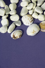 seashells summer abstract look greeting card with copyspace