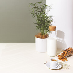 Eco friendly, morning, food composition with cup of espresso, no lactose plant milk, almond and house plant. Healthy vegan breakfast with coffee on a eco friendly kitchen. Relaxing at home