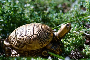 Metal turtle in the green grass. Symbol of wisdom and financial stability.