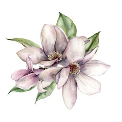 Watercolor floral bouquet of magnolias, leaves and buds. Hand painted flowers isolated on white background. Holiday spring illustration for design, print, fabric or background.