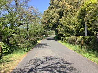 Green and beautiful Yamazaki River Four Seasons Road