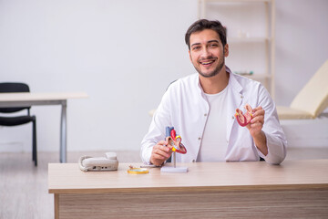 Young male doctor cardiologist explaining heart model