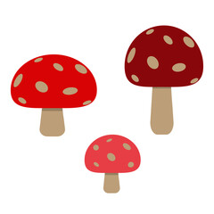 Set of mushrooms in different colors and sizes