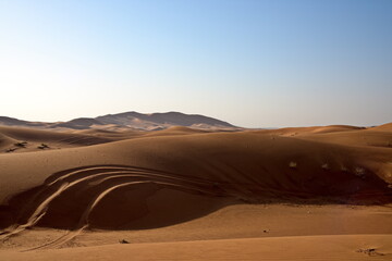 Fototapeta na wymiar Around Nazwa and pink rock desert, viewing of the sand and plant in the desert, sharjah, United Arab Emirates