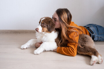 Woman hug kiss beatiful Small red three colours Australian shepherd puppy dog 