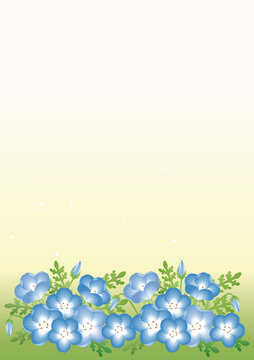 ネモフィラ属 Images Browse 192 Stock Photos Vectors And Video Adobe Stock