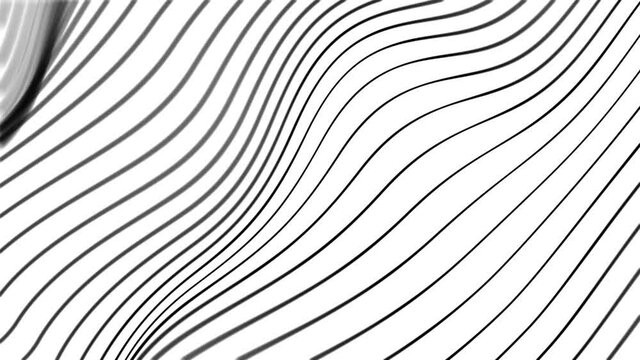 Waving Black lines minimal background video loop