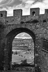 Medieval defensive wall with a gate and rural landscape with olive crops in Tuscany