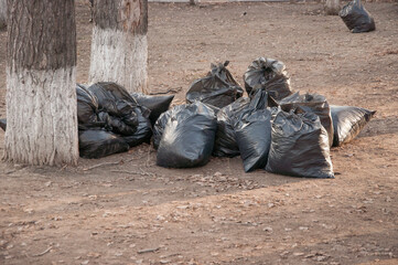 Black bags full filled with autumn leaves in a park. City park cleaning from fallen leaves.